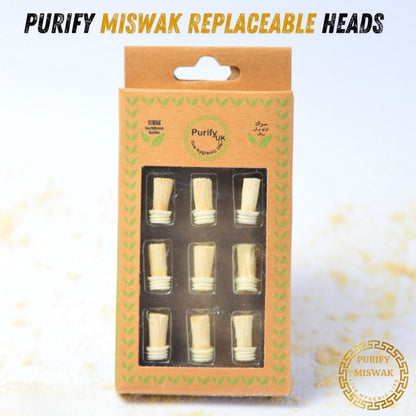 Complete Miswak Kit | Brush, Powder & 9 Heads (100% Natural Peelu Miswak)